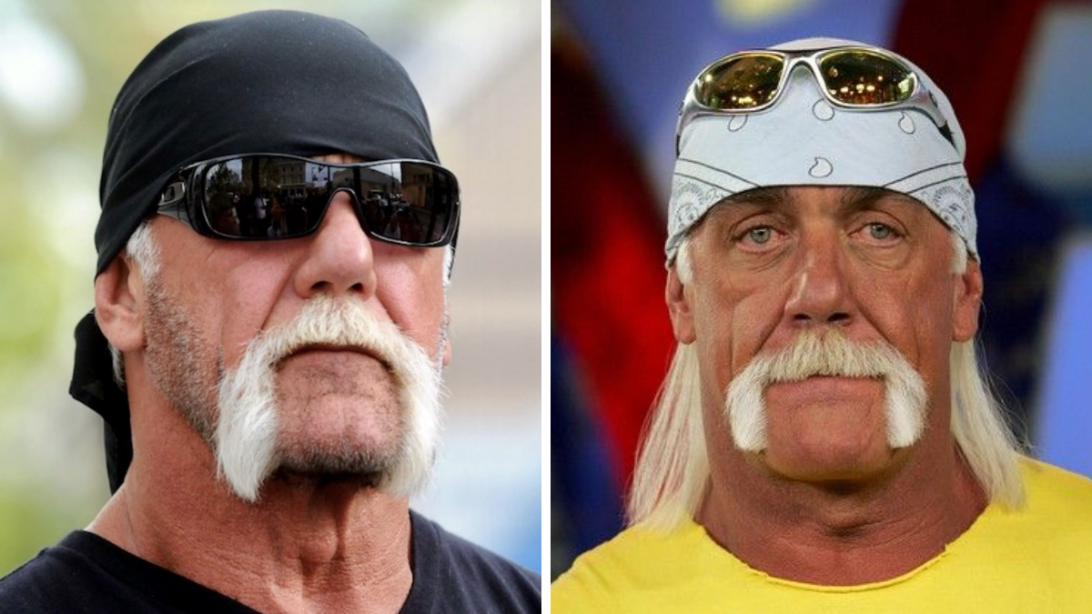 Hulk Hogan Moustache