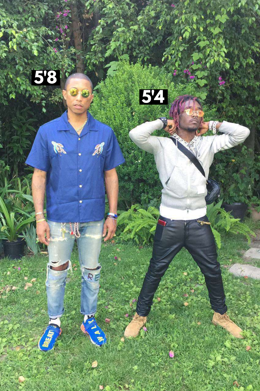 How Tall is Pharrell Williams