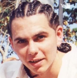 pitbull with braids