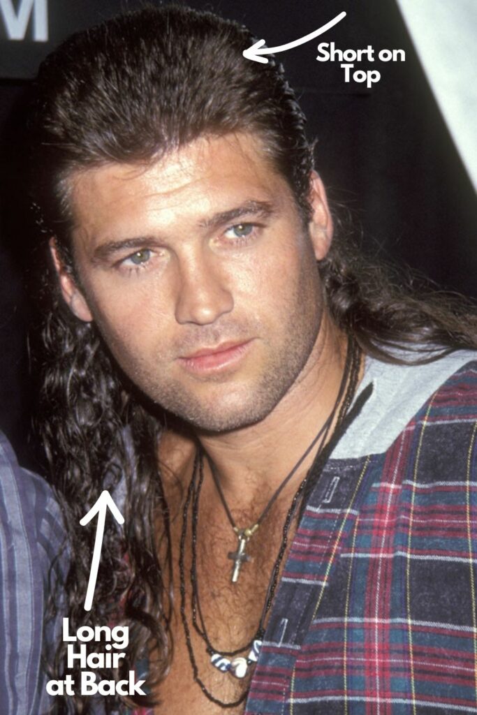 Billy Ray Cyrus Hair in a 90s mullet