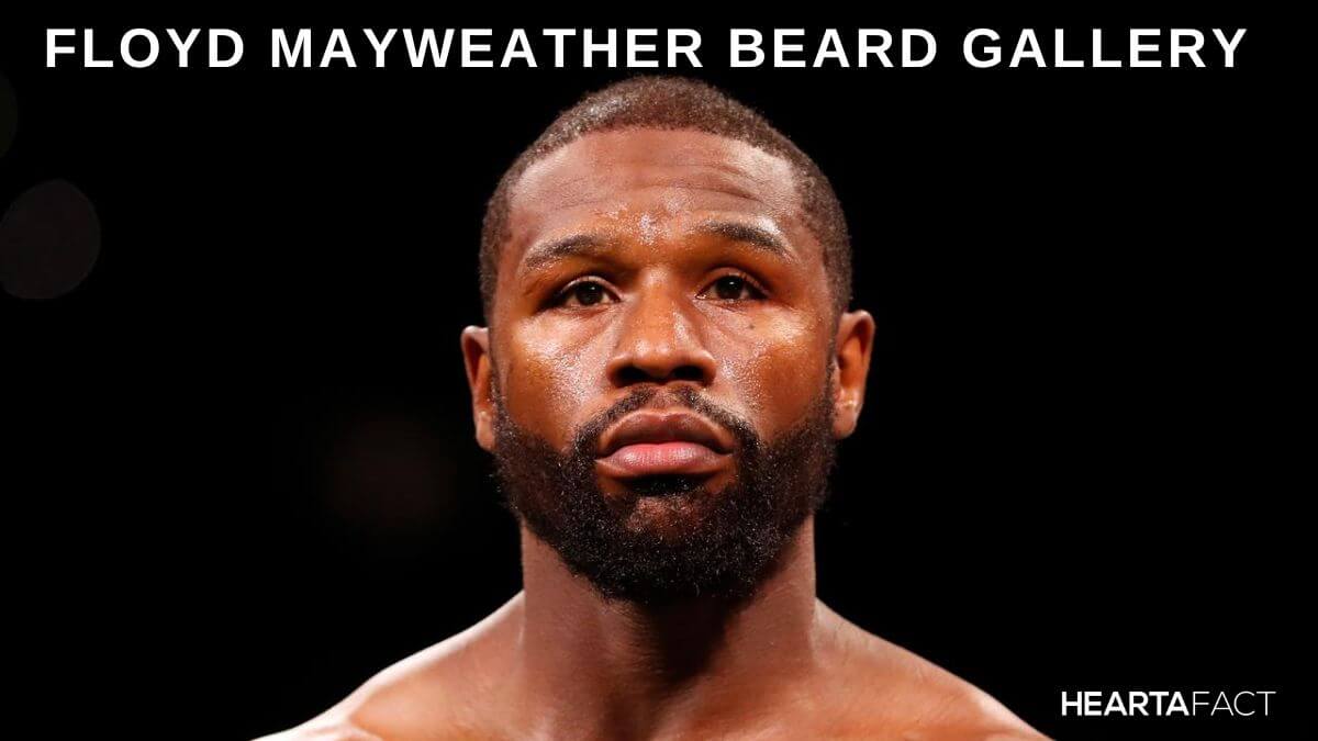 Floyd Mayweather Beard