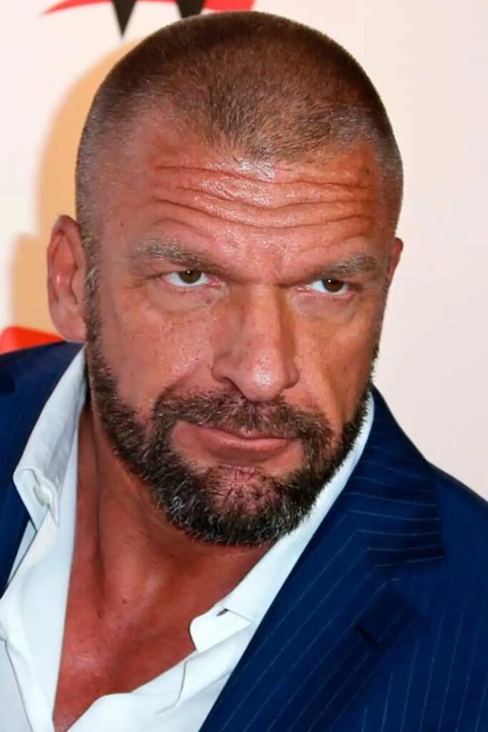 Triple H Beard with hints of grey