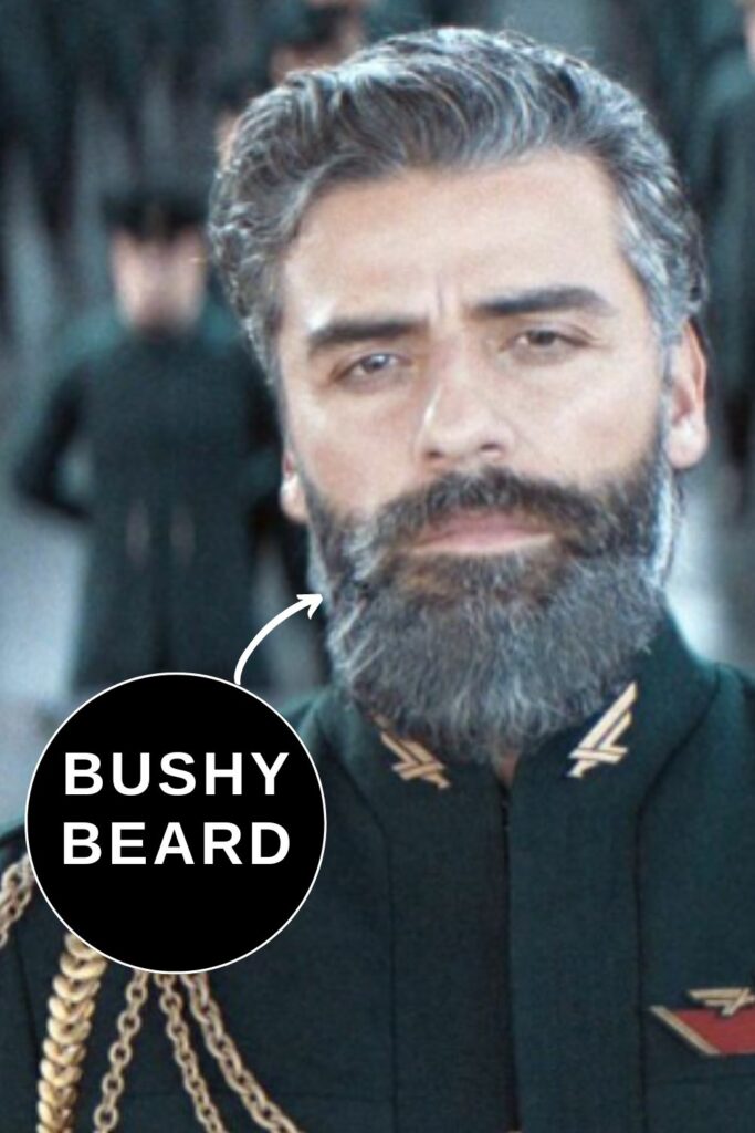 Oscar Isaac Beard big and bushy