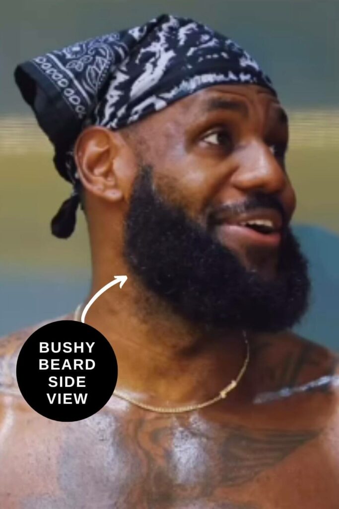 bushy beard side view